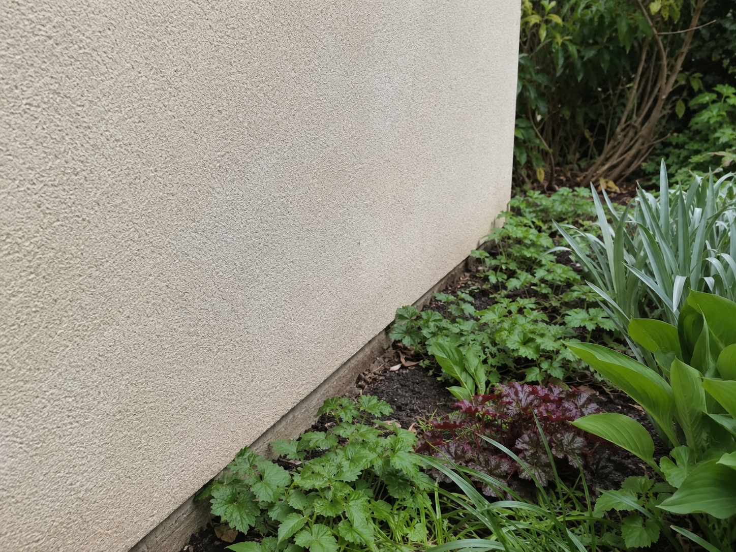 Render and garden border in County Wexford after a low-pressure softwash