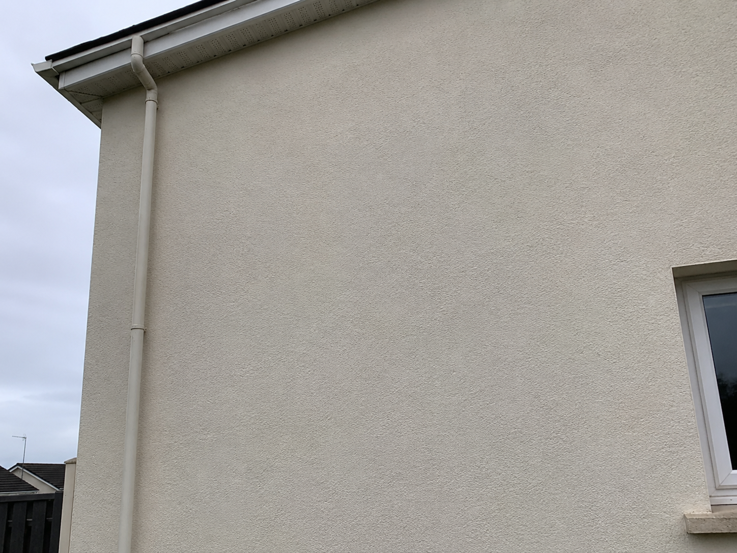 Softwashed render finish in County Wexford free of algae and staining